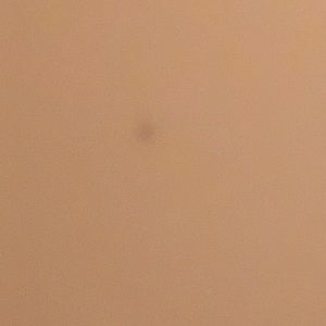 Meet your Posher, Shania